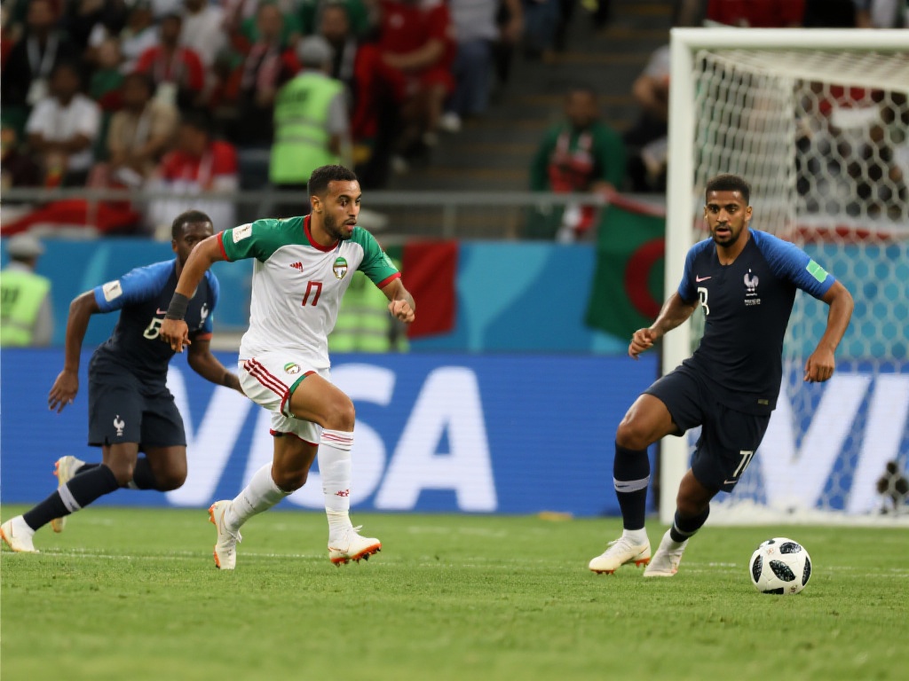 哈兰德几乎 哈兰德几乎